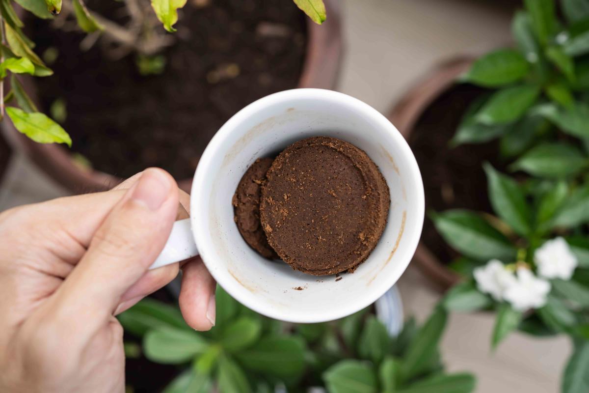 Kaffeesatz ist im Winter sehr nützlich. Viele wissen das nicht und werfen ihn weg.