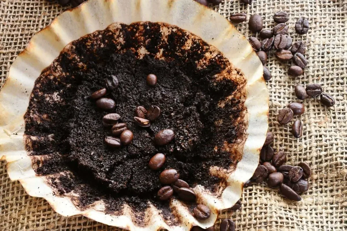 Ein Löffel genügt: Warum immer mehr Menschen Kaffeesatz ins Klo geben