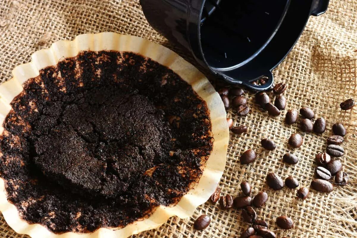 Kaffeesatz ist im Winter sehr nützlich. Viele wissen das nicht und werfen ihn weg.