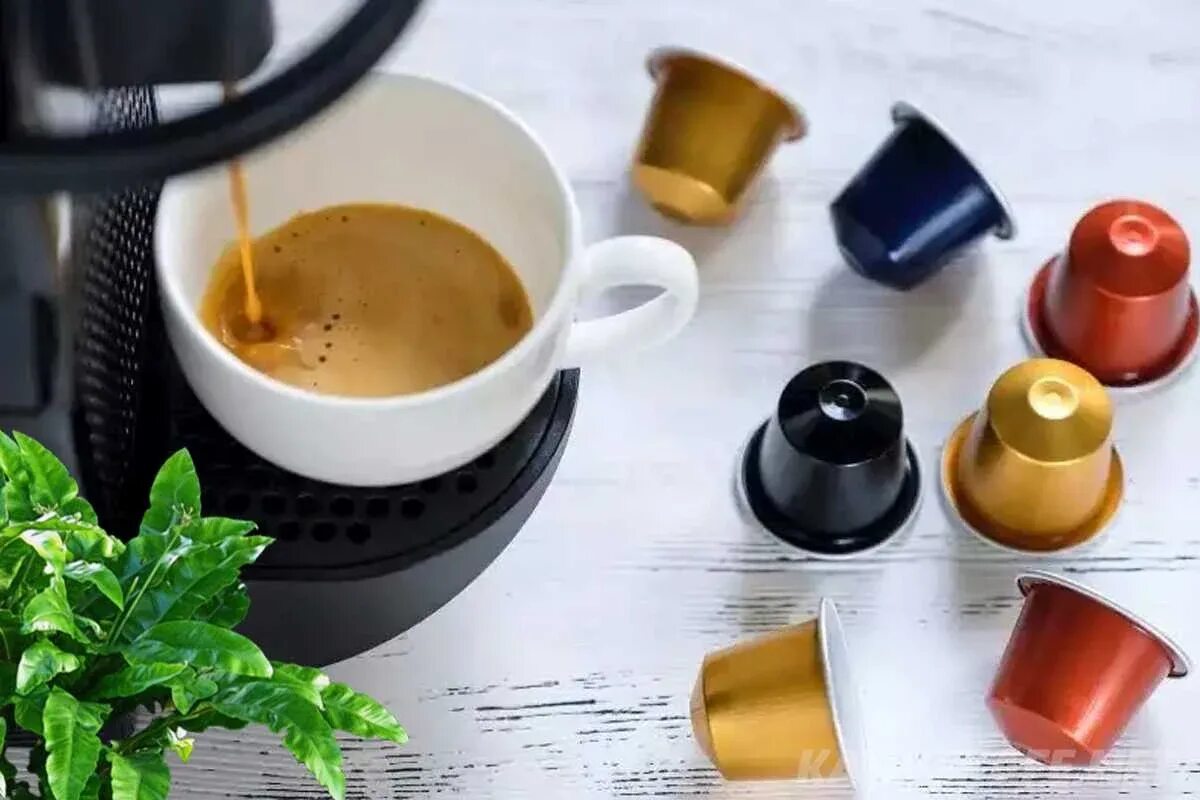 Wohin mit Teebeuteln und Kaffeekapseln? Die meisten machen es falsch.