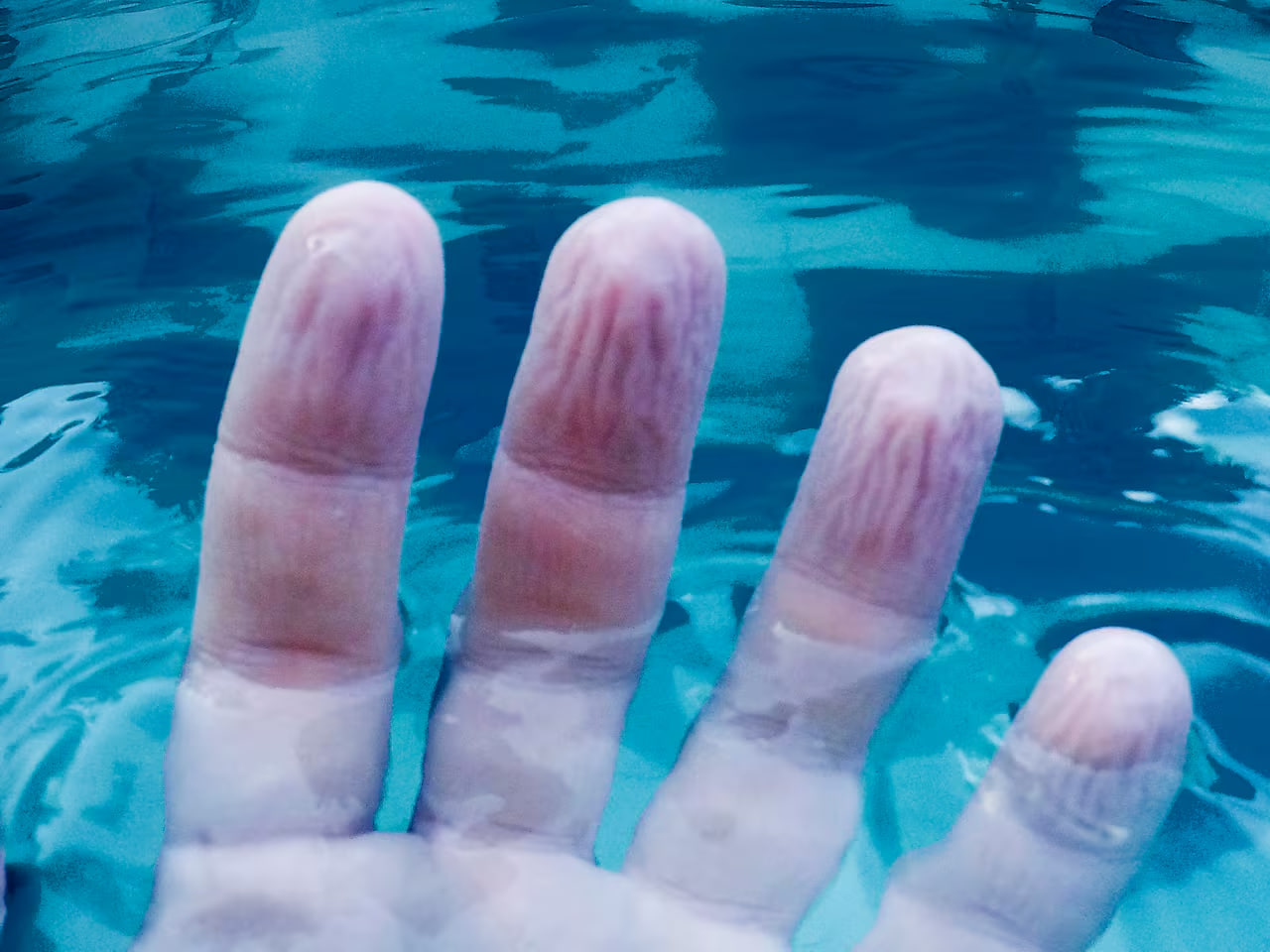 Die Frage des Kindes ermöglichte es Wissenschaftlern zu beweisen, dass durch Wasser verursachte Falten an den Fingern für den Menschen von Vorteil sind.